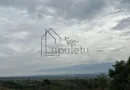 Teren | 1.500 MPU | Bradu
