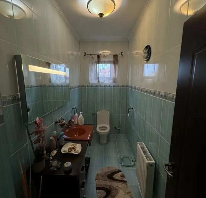 Casa de vanzare P+1, 4 Garaje, Vetis