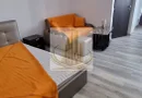 Apartament 1cameră Take Ionescu