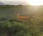 Teren Stupini Calea Feldioarei 4600 mp,front asfalt-DN13