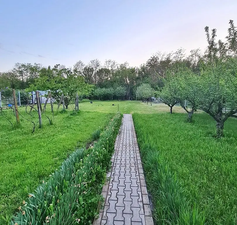 Buftea Centru – Teren 1807 mp + 2 case – Direct proprietar