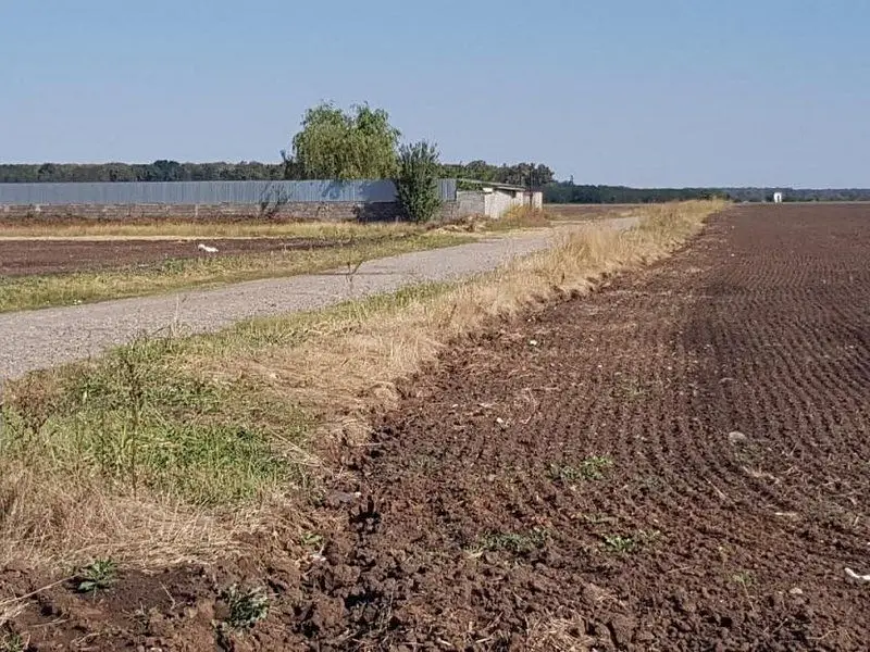 Teren intravilan de vânzare Brănești – DN3, deschidere 60 ml investie