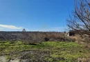 Teren Intravilan Vama Veche | 7.495 mp | Oportunitate Investiție