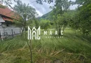 Casa de vacanta 1200 mp teren Valea Lotrioarei