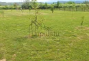 Teren Extravilan | 2.000 MPU | Intabulat | Zonă liniștită