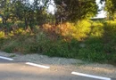 Teren intravilan 2.500 mp – Vieru, Giurgiu