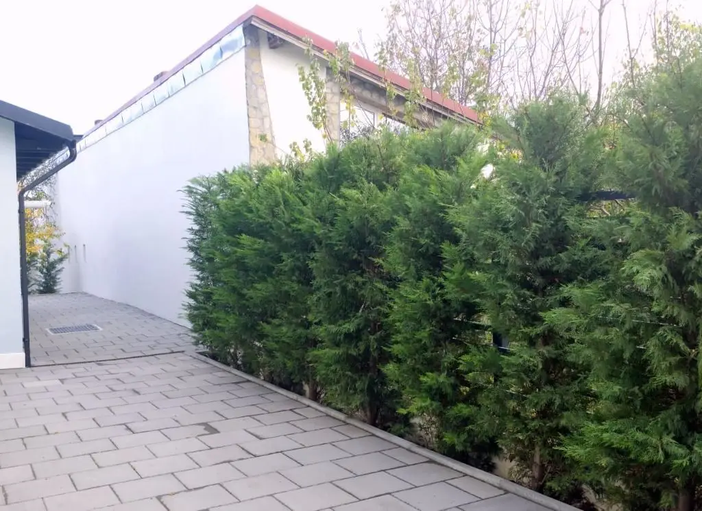 Casă renovată integral – ideală pentru birou/cabinet, sediu de firma