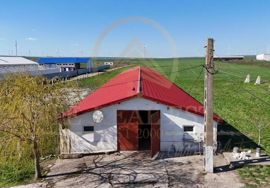 Tariverde - Ferma zootehnica functionala, 3 hectare teren intravilan!