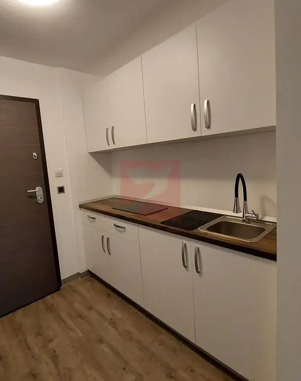 2 camere, intim, semineu, Silver Mountain