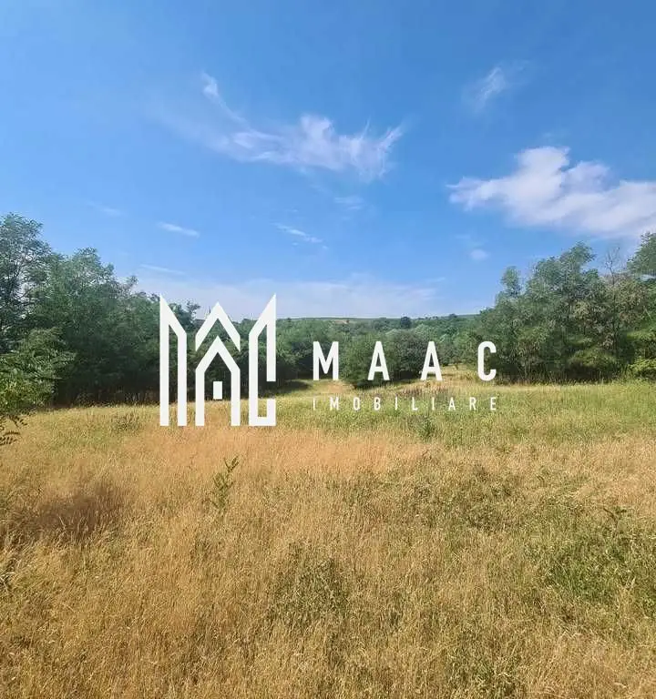 Teren | 12.922 MP | Loamneș