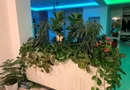 Balotesti vila de lux 8 camere, 450mp utili, la 20 min de Bucuresti