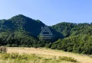 240 Hectare Pădure Valea Oltului Resurse Naturale Potențial Turistic