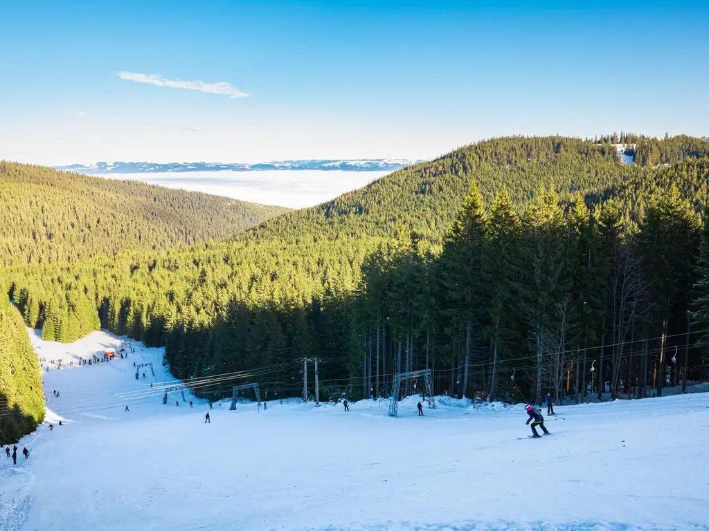Teren 4,46 ha pentru resort / cabane – Vatra Dornei, intravilan + extr