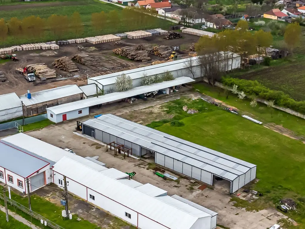 Hale depozitare/producție 2.000 mp si 10.000 mp teren în Pecica