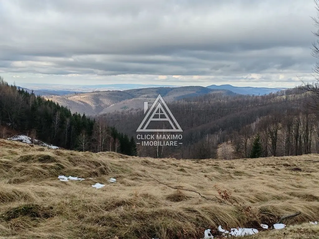 19.5 Hectare în Zona Turistică Montană – Bulz, Bihor