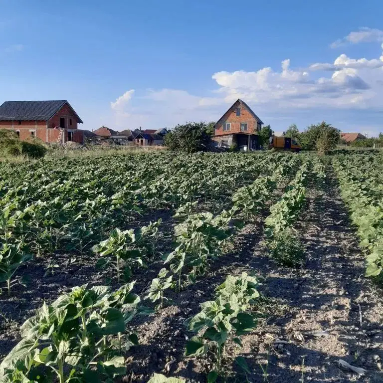 Ag EUROPA vinde 8 ari teren intravilan in Amati cu frontul de 30 metri