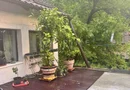 DE ÎNCHIRIAT: Casă Spațioasă cu 4 Camere + Mansardă | Valea Iubirii