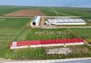 Tariverde - Ferma zootehnica functionala, 3 hectare teren intravilan!