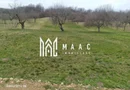 Teren 1400 mp | Valea Mărului | Parcelabil | Cabane / Retreat în natură