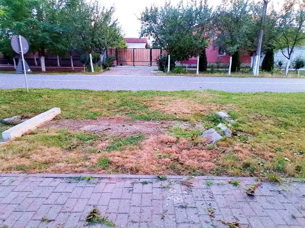 Teren de vânzare în Nadăb, 1.438 mp | Utilități complete | Comision 0%