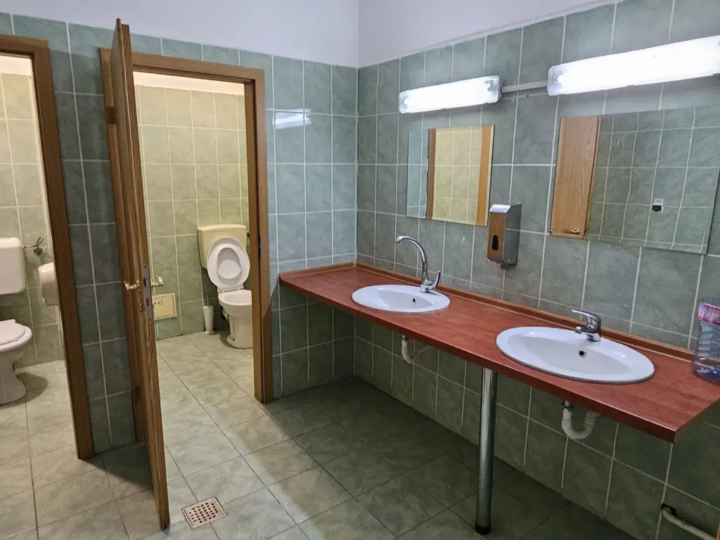 Pantelimon spatiu comercial 650 mp