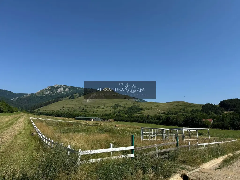 Teren de vanzare – Rimetea, Alba | 9000 mp