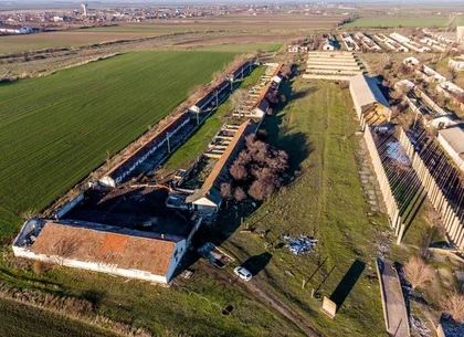 NĂDLAC | Teren 1.15 HA lângă Autostradă | 2.500mp Hale