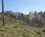 Teren cu panoramă fabuloasă, 10.059 mp, Roșia. 19.000 EUR. Comision 0