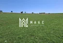 Teren extravilan agricol 3.800 mp | Bungard | 3 căi de acces