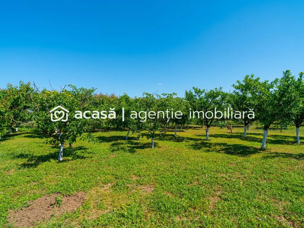 REZERVAT -Casă spațioasă cu teren generos în Felnac – la 18 km de Arad