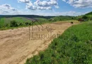 Teren Extravilan de Vânzare – 2.500 mp | Hamba | Zonă în Dezvoltare