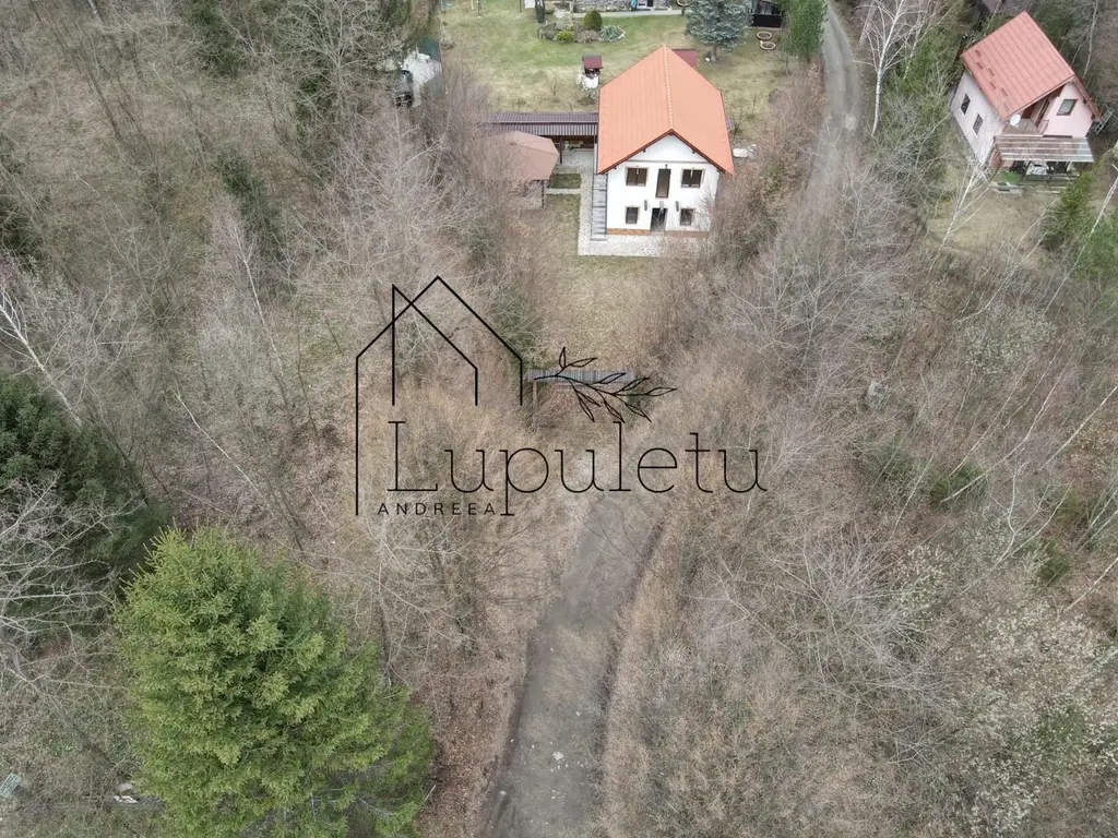 Casa de Vacanta | 120 MPU | Valea Avrigului