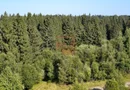 2 apartamente intr-unul singur!
