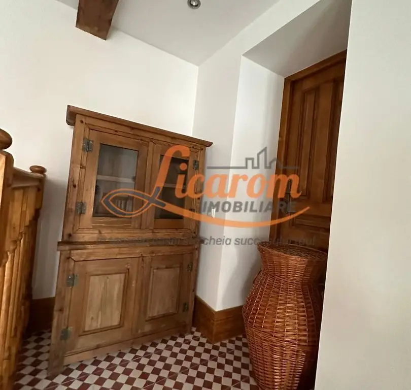 Casa saseasca CRISTIAN,amenajata LUX,pt turism,piscina,curte