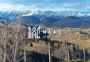 Refugiu în Inima Munților I Casa in Moeciu I Bran