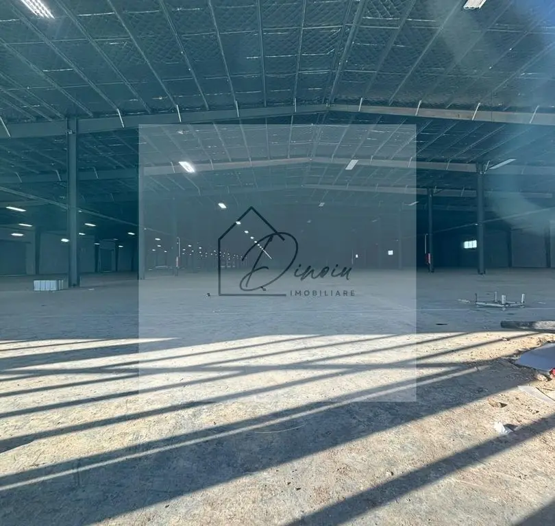 Hala de inchiriat I Afumati I minim 500 mp I langa Centura Bucuresti