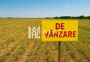 Teren | Extravilan | 2.269 MP | Daia