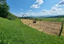 Teren Extravilan de Vânzare – 2.500 mp | Hamba | Zonă în Dezvoltare