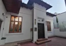 COTROCENI - Cuibușorul de nebunii al pictorului Zamfir DUMITRESCU
