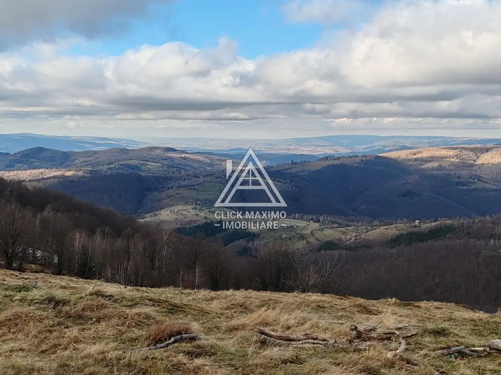 19.5 Hectare în Zona Turistică Montană – Bulz, Bihor
