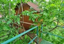 Buftea Centru – Teren 1807 mp + 2 case – Direct proprietar