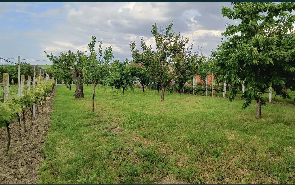 Casa de vanzare in Sacaseni, langa baile termale Tasnad