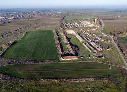 Teren 1.15 HA lângă Autostrada – Nădlac | clădiri+utilități