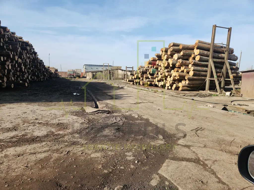 Teren Industrial langa balta in Sacalaz. Curent de inalta tensiune