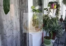 Apartament 2 Camere | Etaj 2 | Zonă Calea Aradului | Ideal Investiție