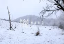Teren de vanzare I izvor apă minerală  Dangești I 2 Hectare
