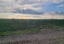 Zona industriala Freidorf. 4.345 mp. Timisoara.