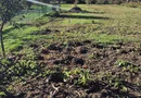 Teren intravilan de vânzare – zona Pâclișa, Alba Iulia