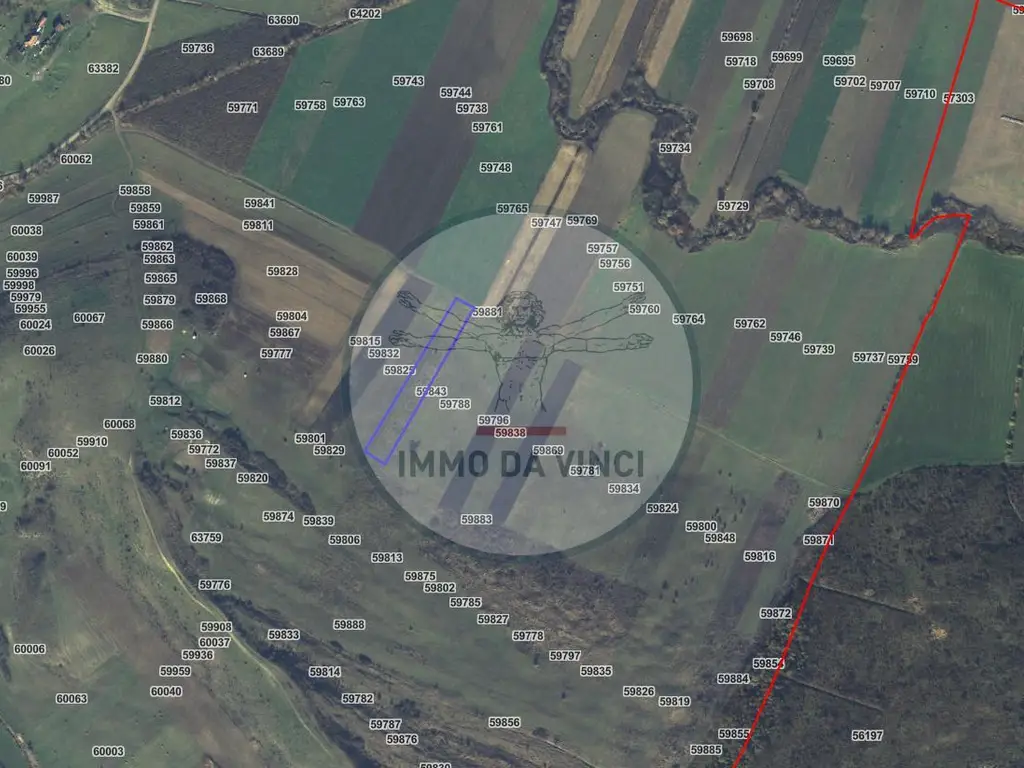 Pachet investitie terenuri Borșa Cluj 37.839 mp | 12.039 mp intravilan