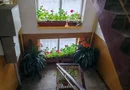 BRASADAS vinde ap cu 3 cam etaj 4/4 pe Drumul Botizului